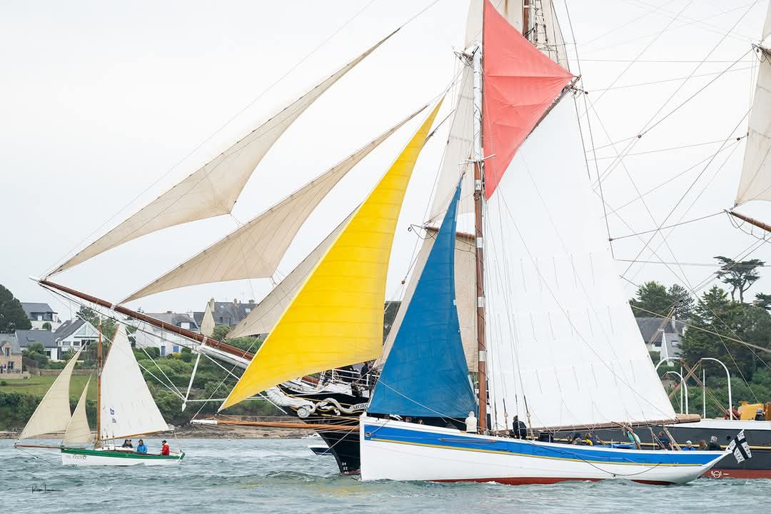 Semaine du Golfe 2027